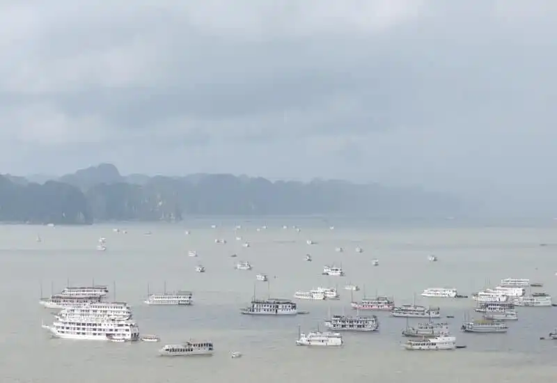 Halong bay cruises under the rain