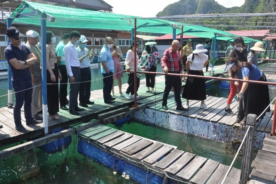 Tourist visiting pearl farm