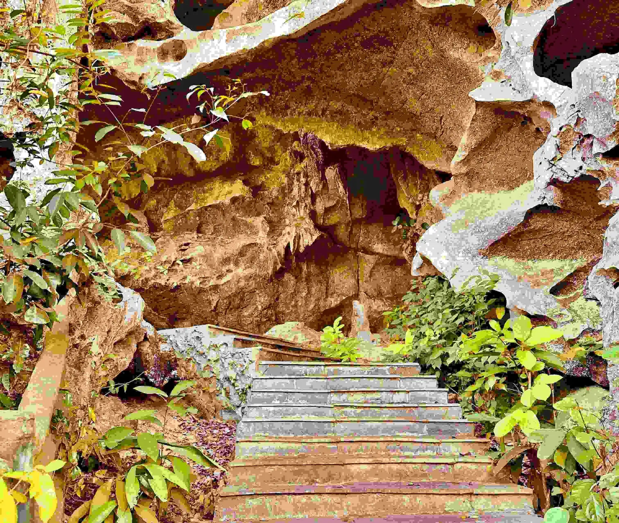 Trung Trang Cave entrance