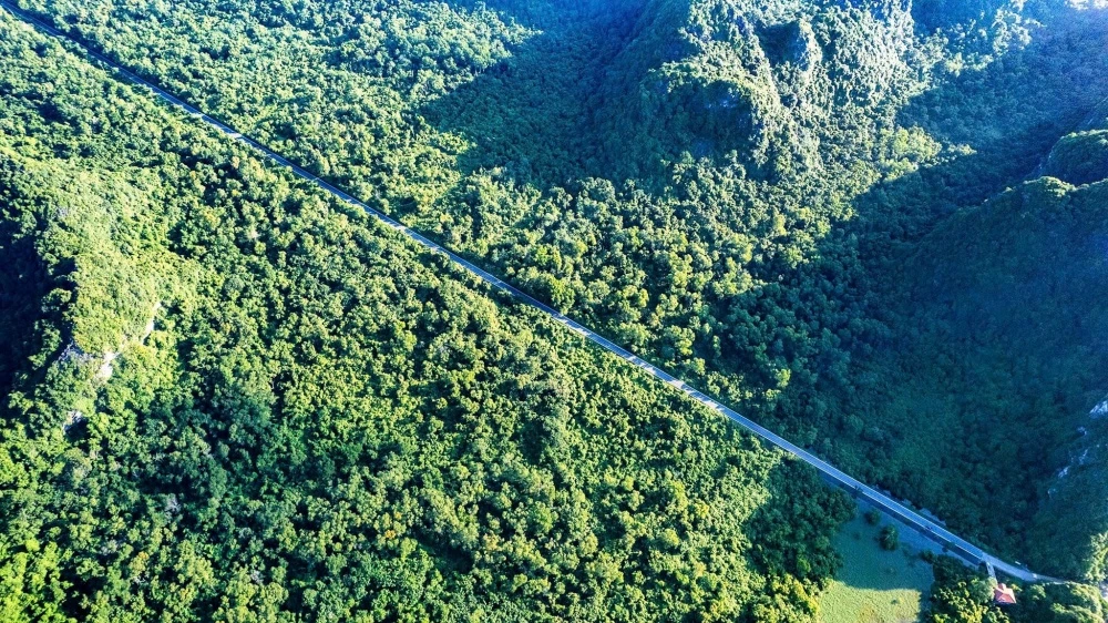 The road run through Cat Ba National Park