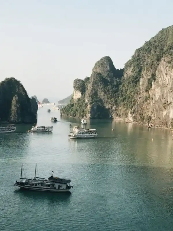 Cruises in Halong Bay