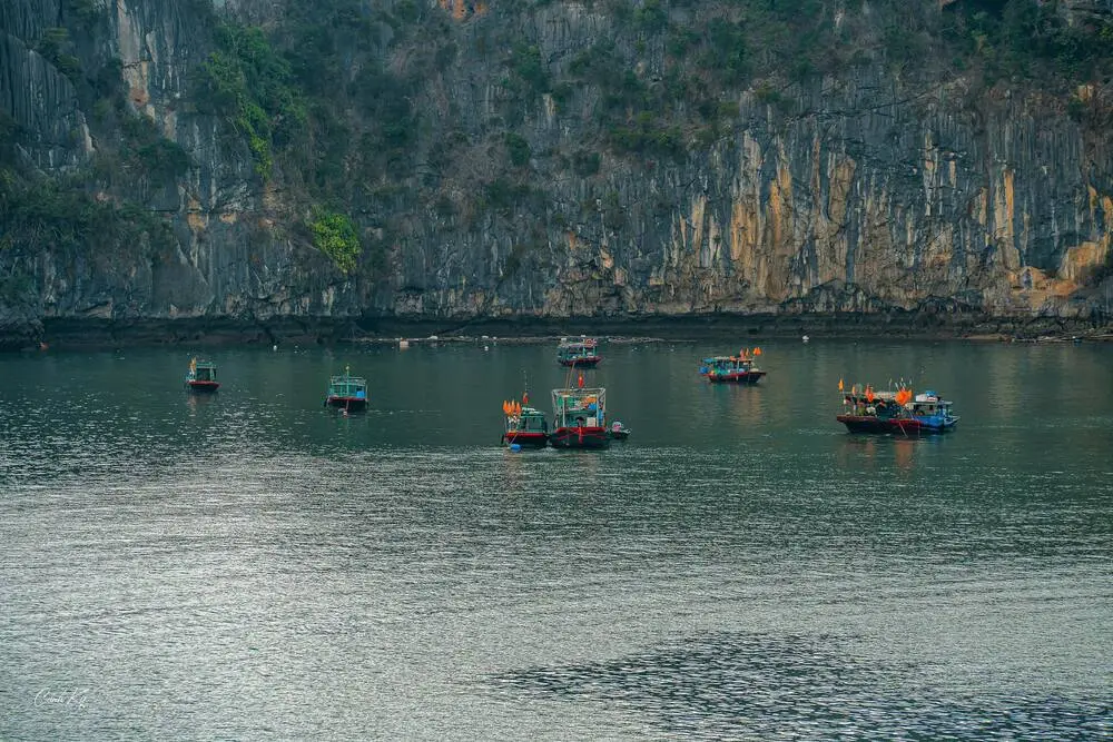 Junk boat in Halong Bay