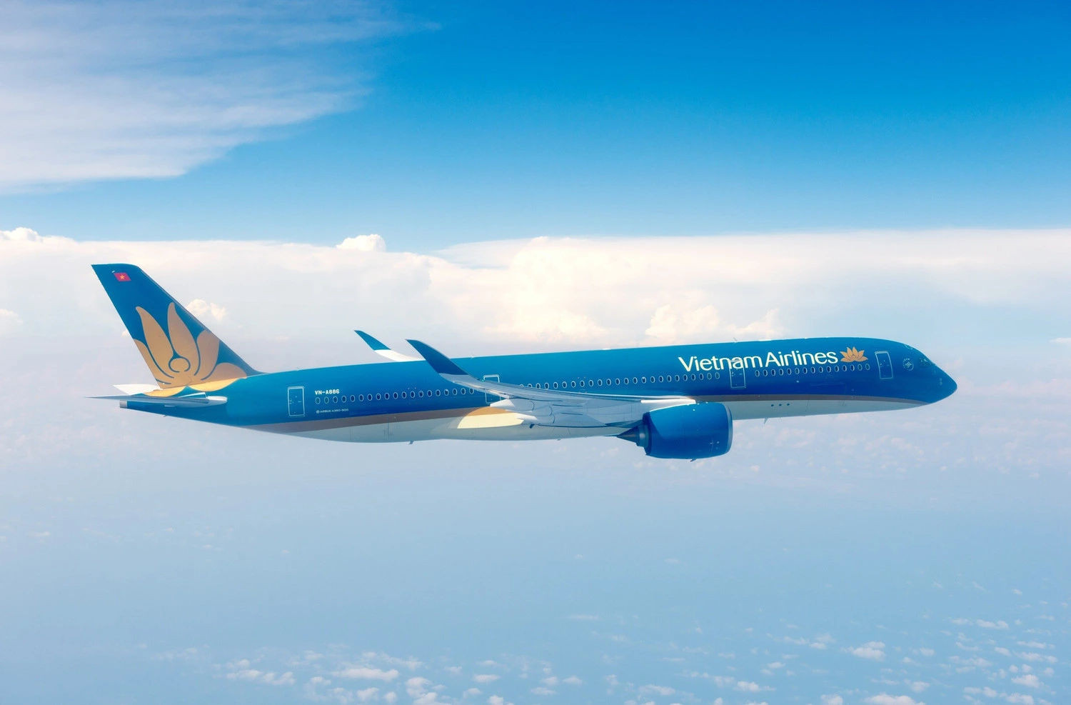 Vietnam Airlines plane in the sky