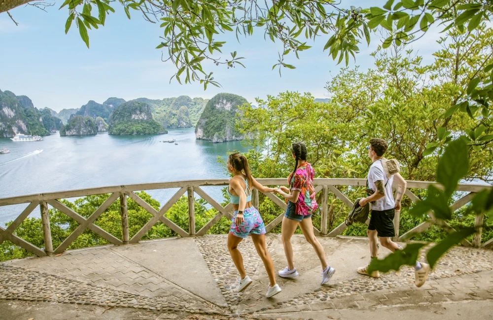 Travelers see Halong Bay from Ti Top Island view point