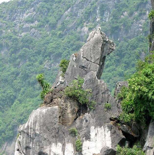 Cho Da Islet