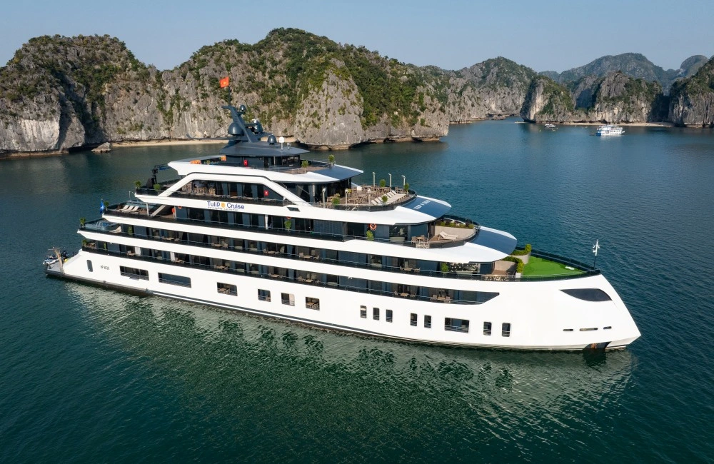 Tulip Cruise