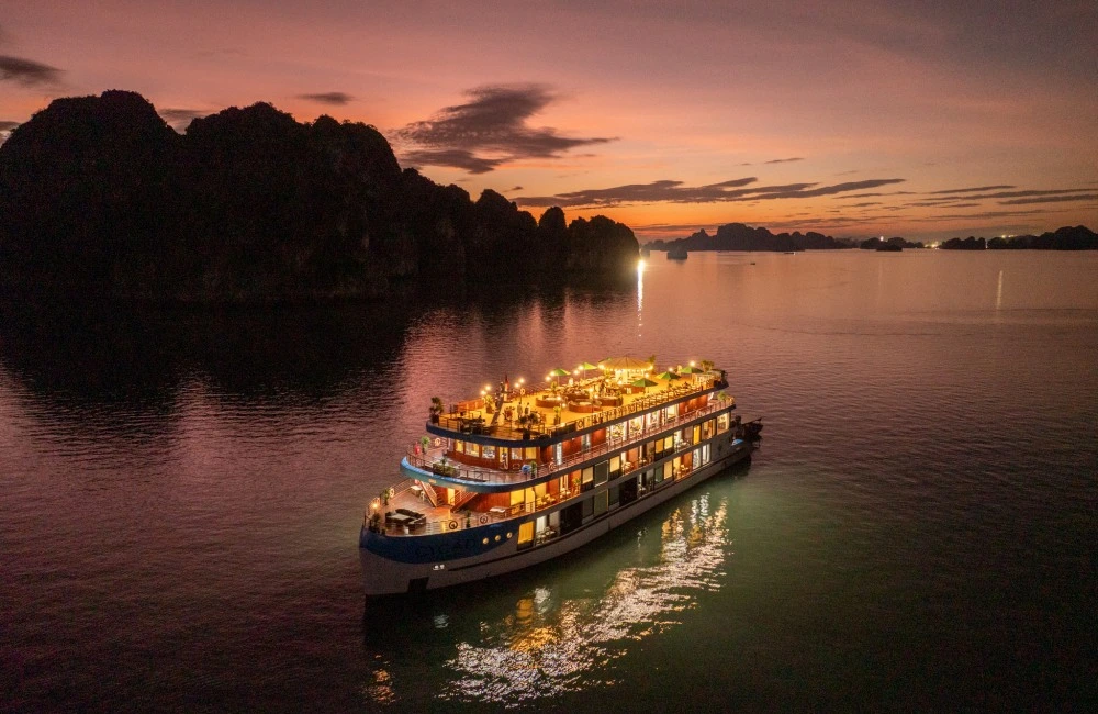 Cycad Cruise