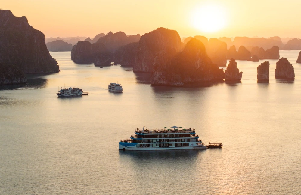 Cycad cruise sailing in Bai Tu Long Bay