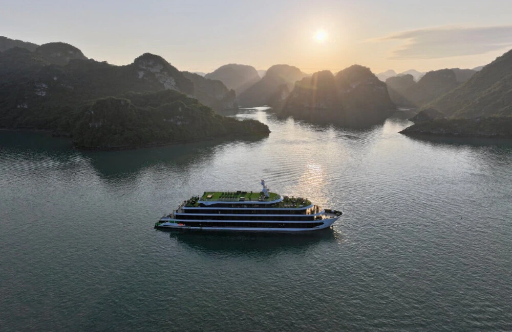 Venus Cruise