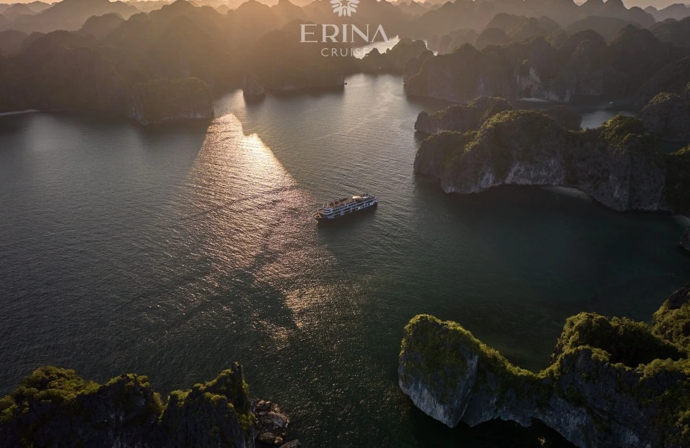 Erina Cruise