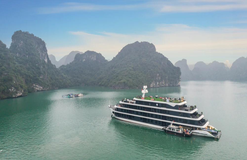 Cruise Overview