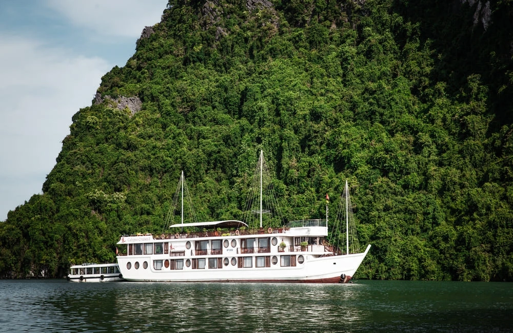 Calypso Cruise overview