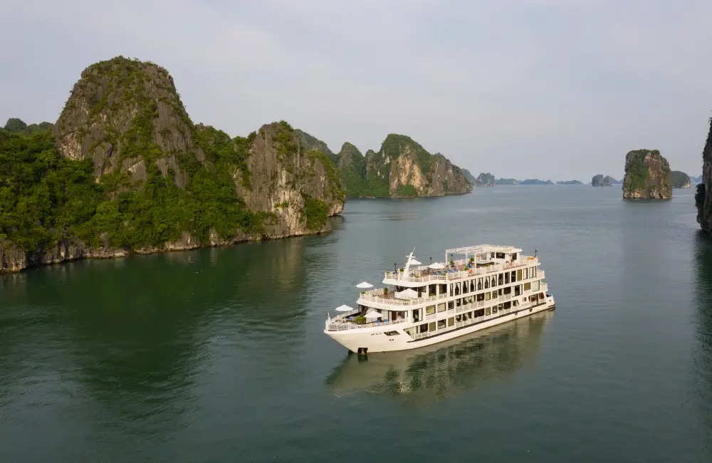 Cruise overview
