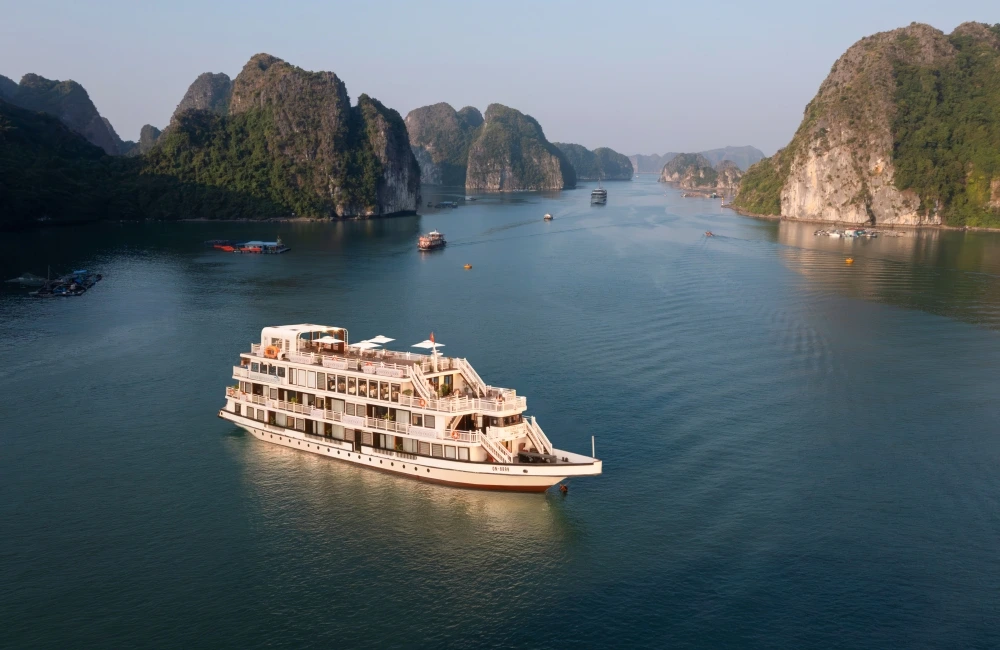 Arcady Boutique Cruise