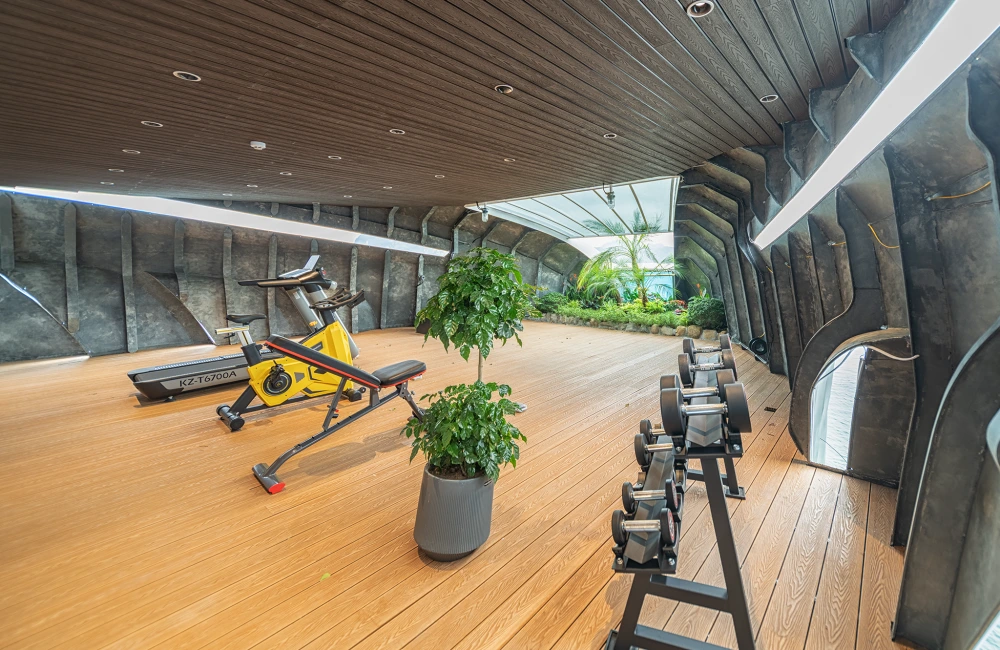 Gym Area
