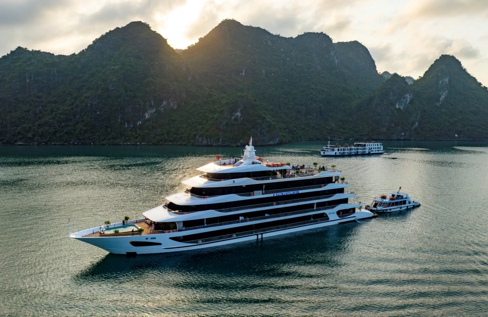 Cruise overview