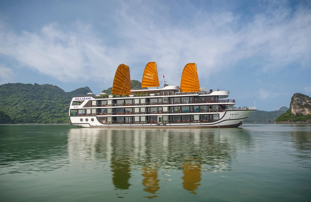 Cruise overview
