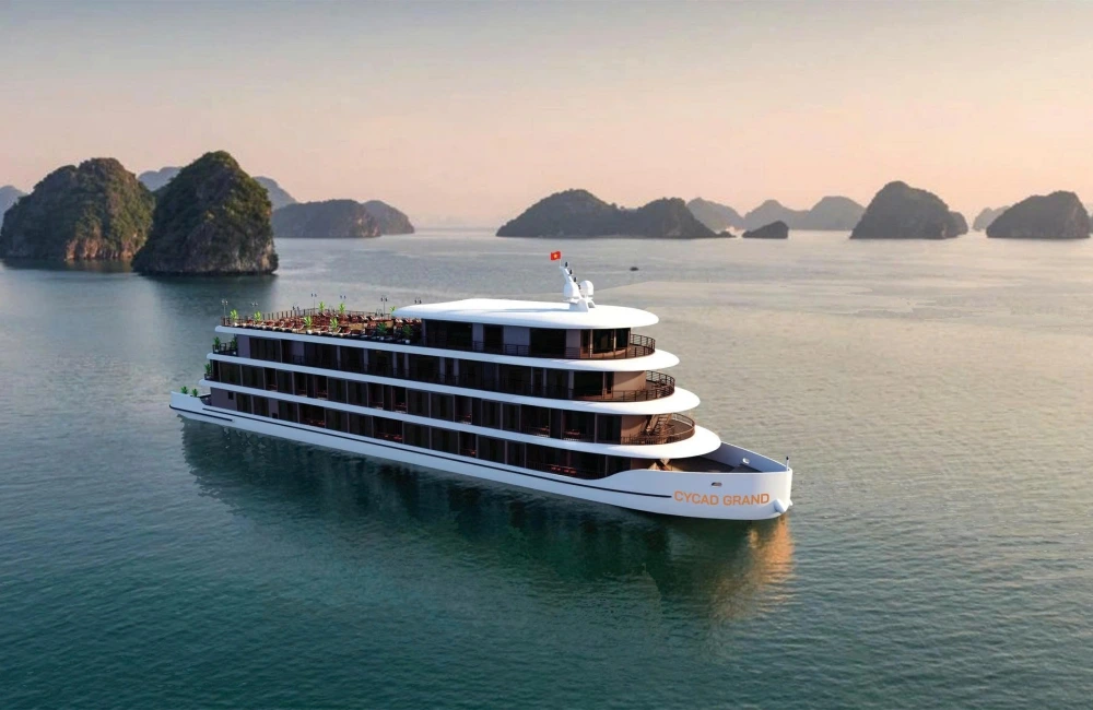 Cycad Grand Cruise