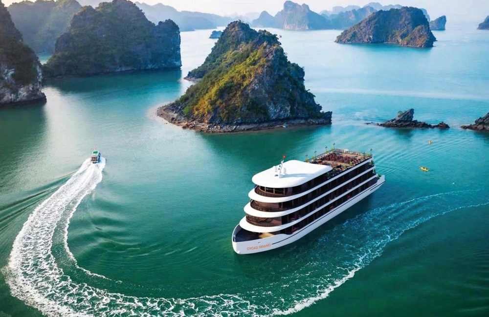 Cycad Grand Cruise sailing in Bai Tu Long Bay