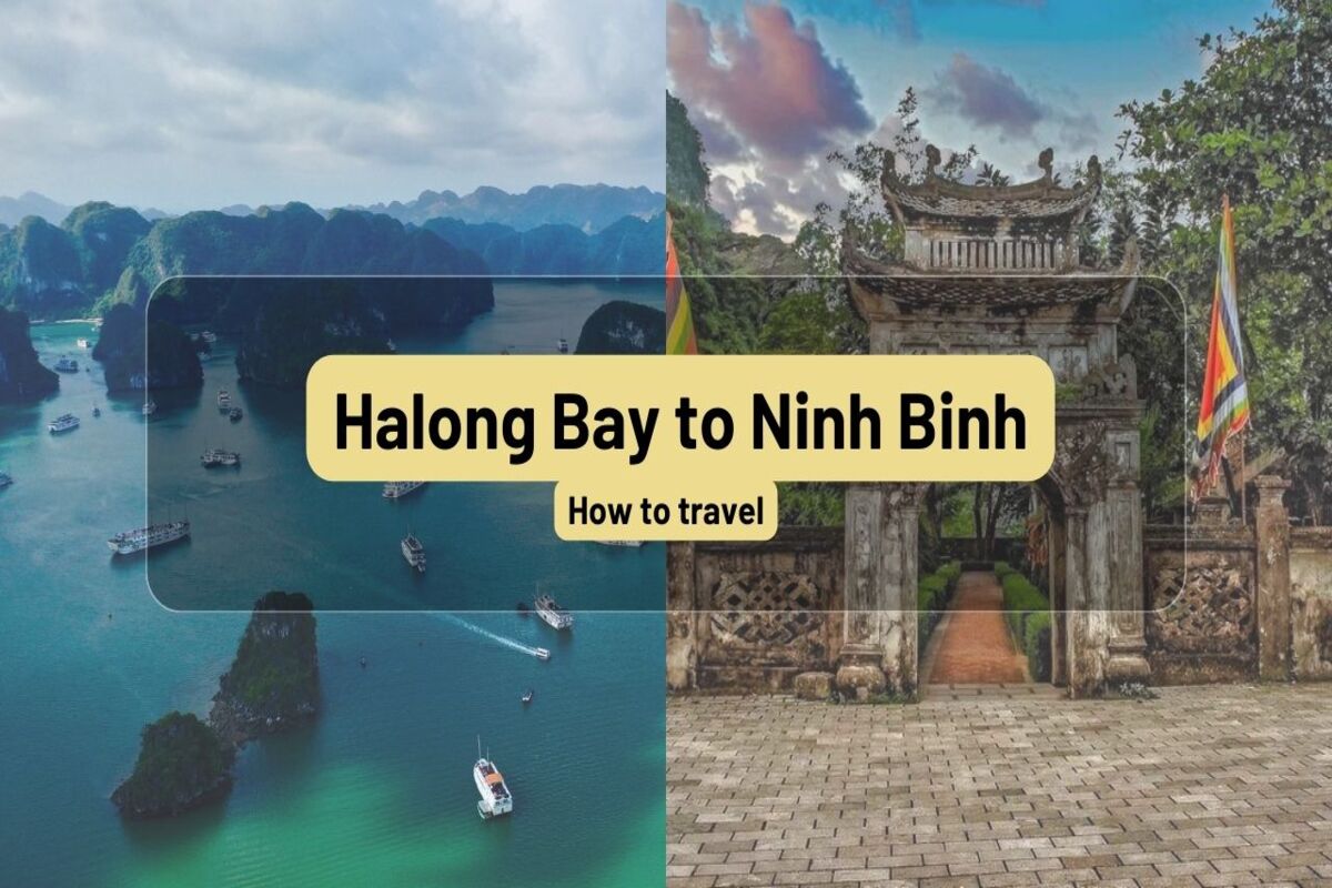 Halong Bay to Ninh Binh travel guide