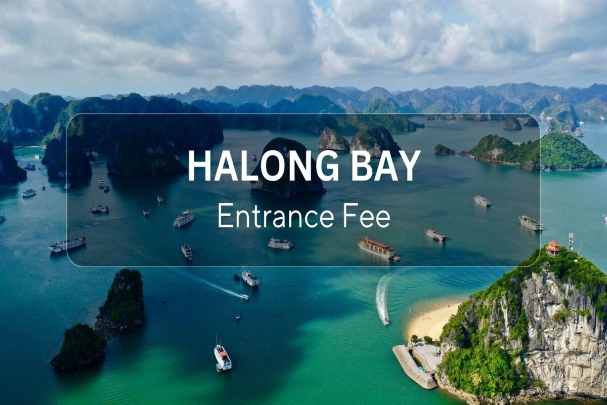 Halong Bay Entrance Fee 2024