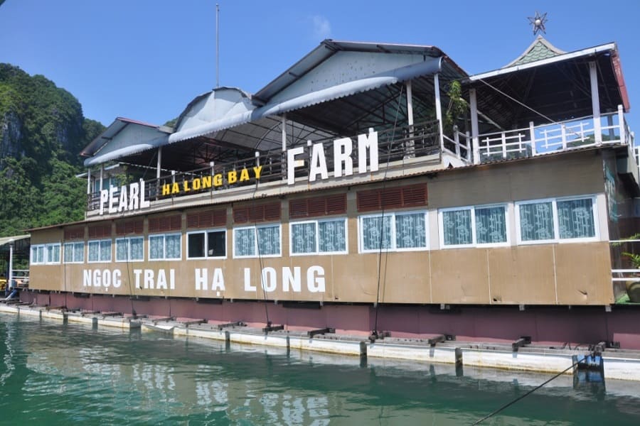 Tung Sau Pearl Farm and the story of making pearls in Halong Bay