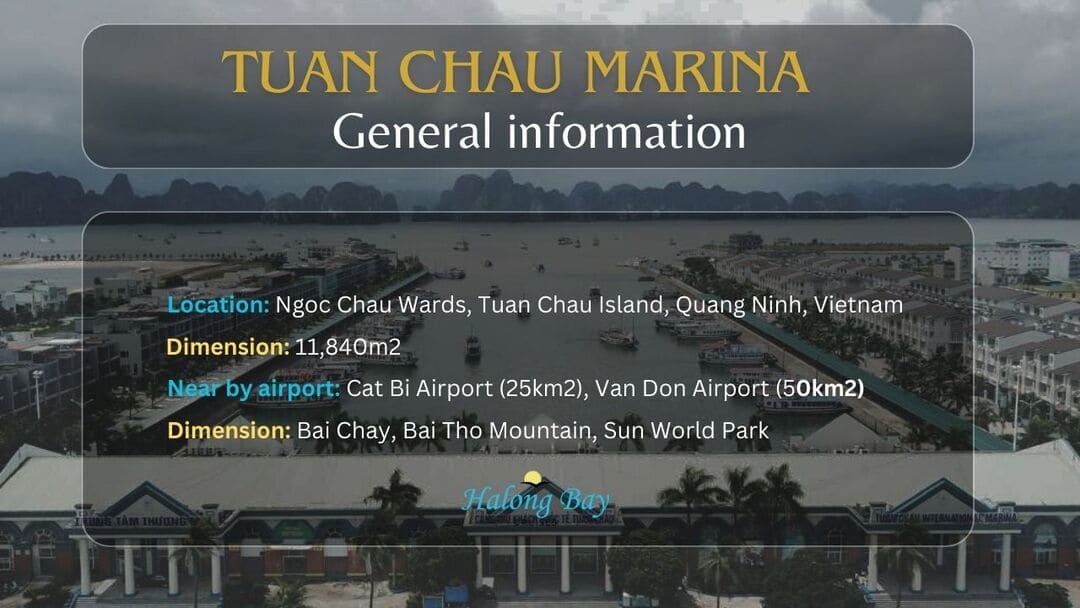 Tuan Chau Marina overview