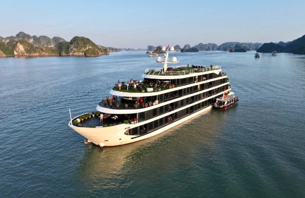 Venus Cruise